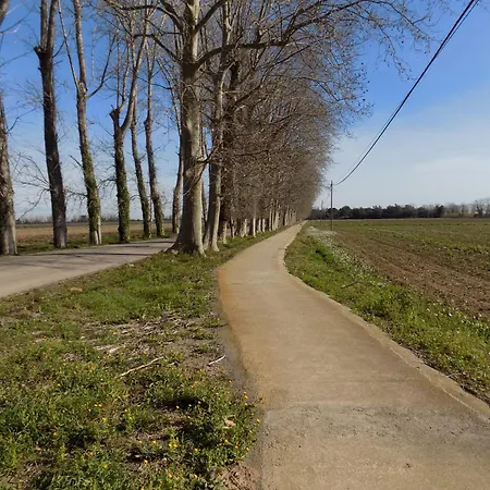 Bon Repos 2 * Torroella de Montgrí